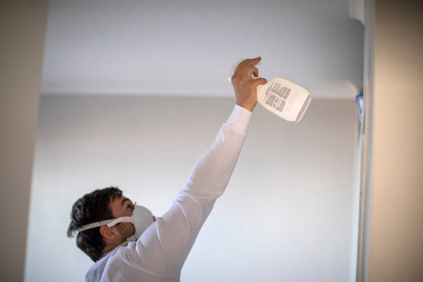 Best DIY Mold Remediation Support Services in Cuba, MO