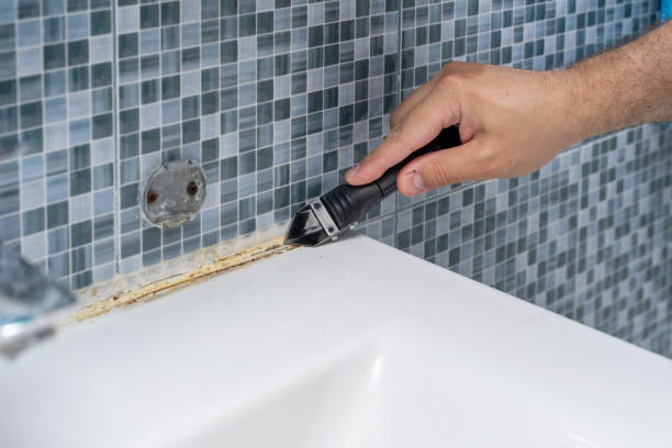 Best Preventive Mold Services in Cuba, MO